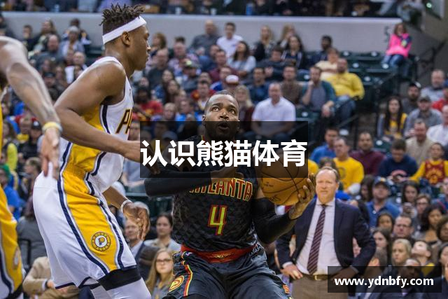 认识熊猫体育